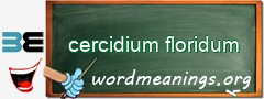 WordMeaning blackboard for cercidium floridum